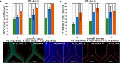 Plasma Deposited Polyoxazoline Films Integration Into Spiral Microfluidics for the Targeted Capture of Size Selected Cells